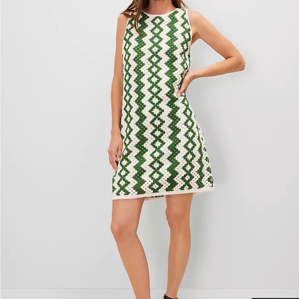 Anne Taylor Sleeveless Green and White Geometric Crochet Shift Dress